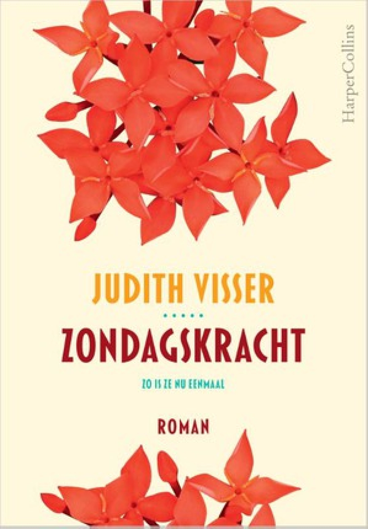 Boekenclub 'Zondagskracht' van Judith Visser